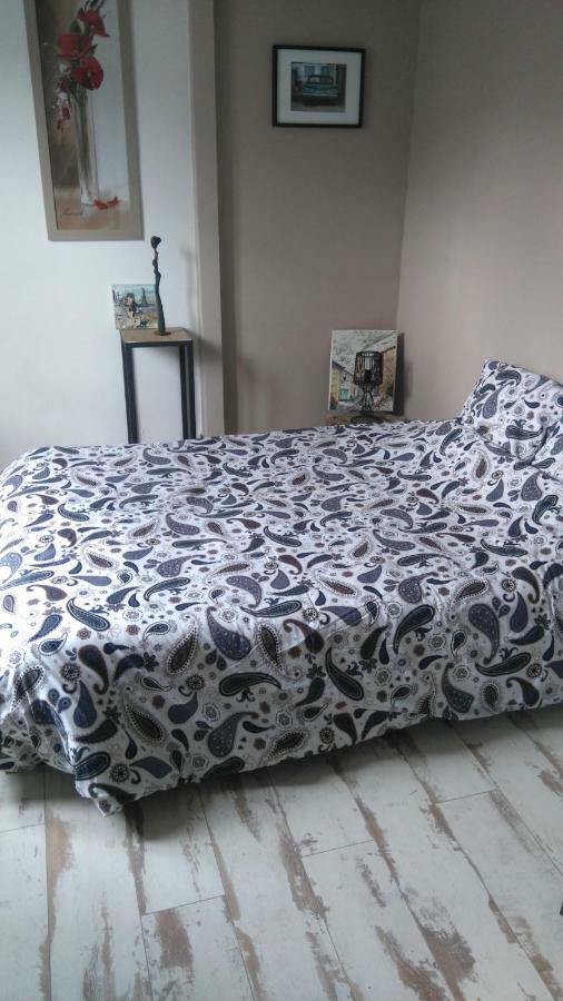 Chambre Privee Chez Un Particulier Сен-Себастьян-сюр-Луар Екстер'єр фото